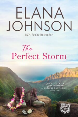 The Perfect Storm - eBook