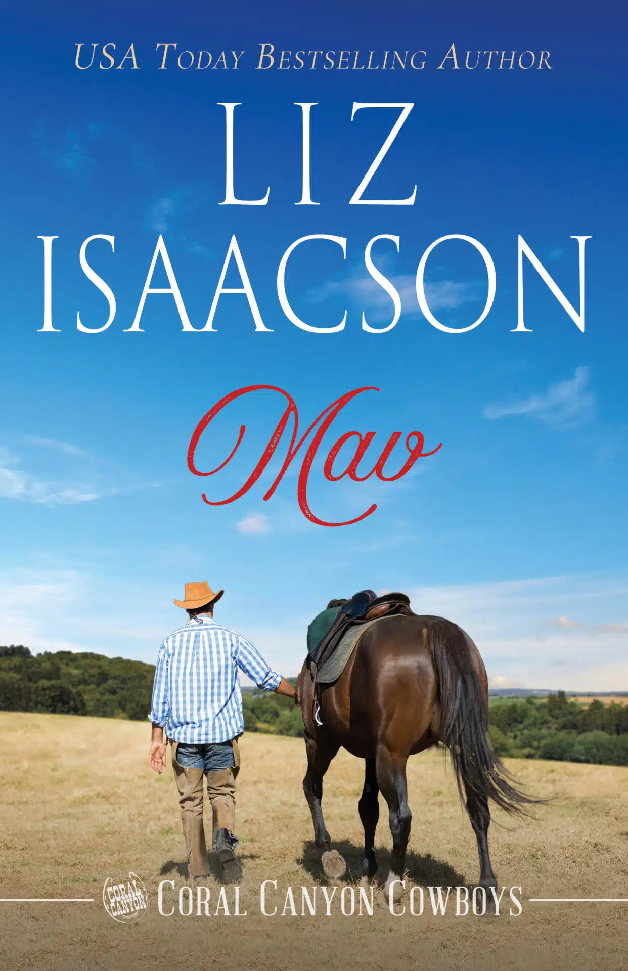 Blaze: A Young Brothers Novel (Coral Canyon™ Cowboys): Isaacson, Liz:  9781638761983: : Books